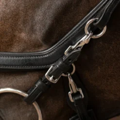 Bakstukken PresTeq Zwart -Ruiter Hoek Verkoopwinkel bakstukken presteq zwart 1500x1500 134481