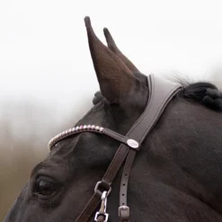 Bitloos Hoofdstel QHP Sunna Donkerbruin -Ruiter Hoek Verkoopwinkel bitloos hoofdstel qhp sunna donkerbruin 1500x1500 169597