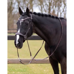 Bitloos Hoofdstel QHP Sunna Donkerbruin -Ruiter Hoek Verkoopwinkel bitloos hoofdstel qhp sunna donkerbruin 1500x1500 169602