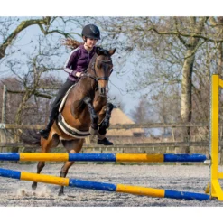 Bitloos Hoofdstel QHP Sunna Zwart -Ruiter Hoek Verkoopwinkel bitloos hoofdstel qhp sunna zwart 1500x1500 124747