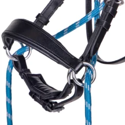 Bitloos Hoofdstel QHP Thunderbolt Black-blue -Ruiter Hoek Verkoopwinkel bitloos hoofdstel qhp thunderbolt black blue 1500x1500 185557