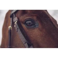 Blinkers Dy'on Zwart -Ruiter Hoek Verkoopwinkel blinkers dy on zwart 1500x1500 101484