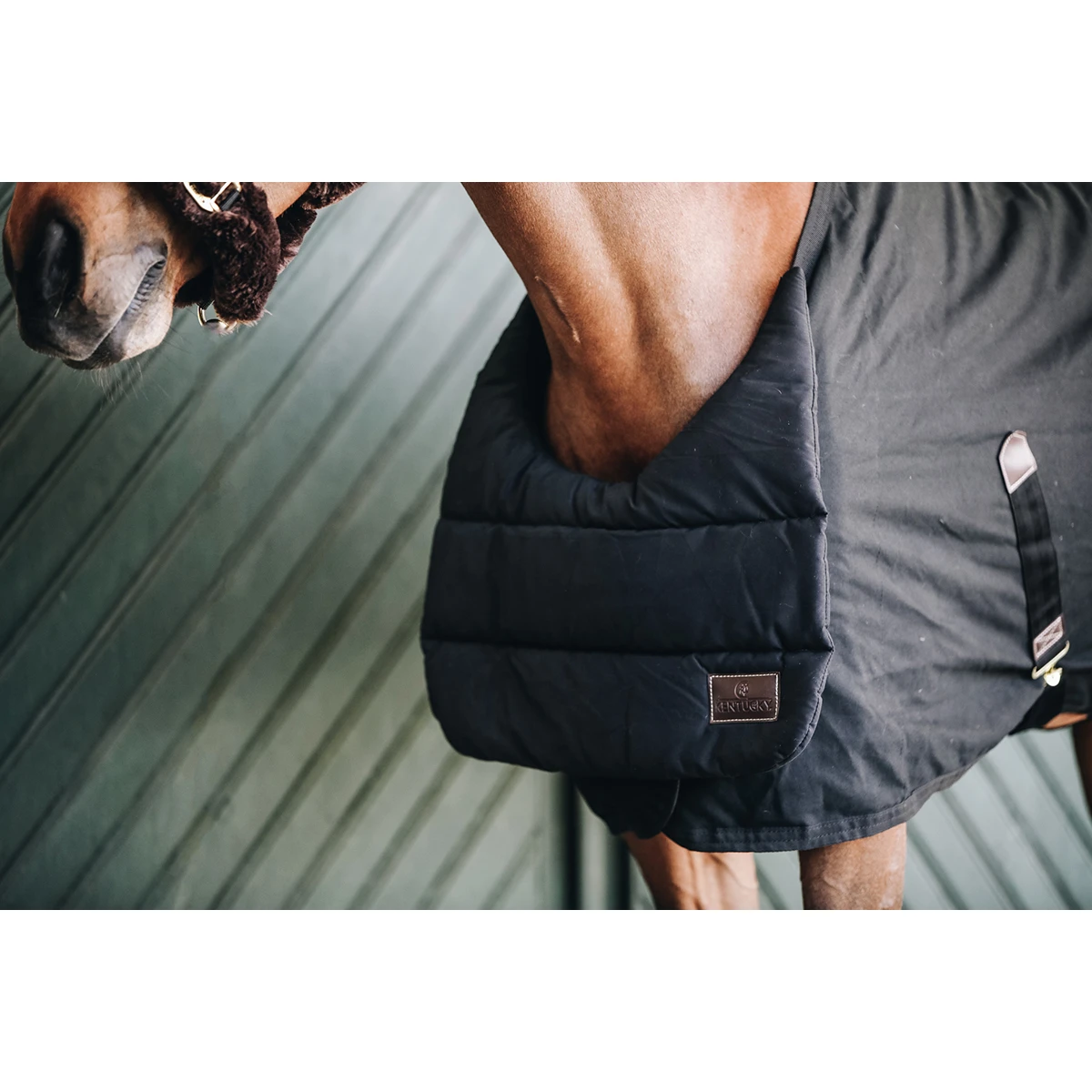 Borstbeschermer Kentucky Summer Zwart 4 Borstbeschermer Kentucky Summer Zwart - Afbeelding 2