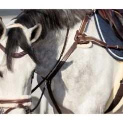 Borsttuig QHP Ontario Bruin -Ruiter Hoek Verkoopwinkel borsttuig qhp ontario bruin 1500x1500 120430