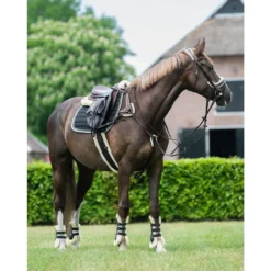 Borsttuig QHP Ontario Bruin -Ruiter Hoek Verkoopwinkel borsttuig qhp ontario bruin 1500x1500 155888