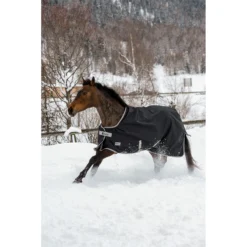 Deken Bucas Anniversary 200gr Zwart-zilver -Ruiter Hoek Verkoopwinkel deken bucas anniversary 200gr zwart zilver 1500x1500 133175