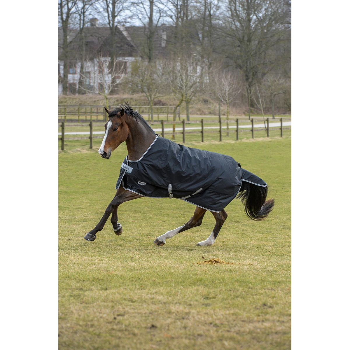 Deken Bucas Anniversary Turnout Stay-Dry 150gr Zwart-zilver 7 Deken Bucas Anniversary Turnout Stay-Dry 150gr Zwart-zilver - Afbeelding 5