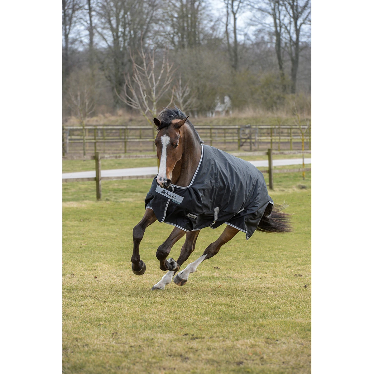 Deken Bucas Anniversary Turnout Stay-Dry 150gr Zwart-zilver 8 Deken Bucas Anniversary Turnout Stay-Dry 150gr Zwart-zilver - Afbeelding 6