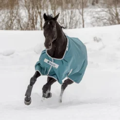 Deken Bucas Atlantic Turnout 200gr Donkergroen -Ruiter Hoek Verkoopwinkel deken bucas atlantic turnout 200gr donkergroen 1500x1500 100465