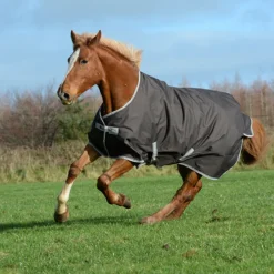 Deken Bucas Freedom Turnout 150gr Bruin -Ruiter Hoek Verkoopwinkel deken bucas freedom turnout 150gr bruin 1500x1500 113227
