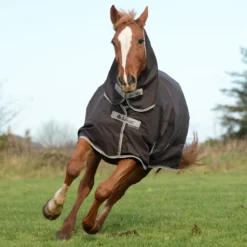Deken Bucas Freedom Turnout 150gr Bruin -Ruiter Hoek Verkoopwinkel deken bucas freedom turnout 150gr bruin 1500x1500 113228