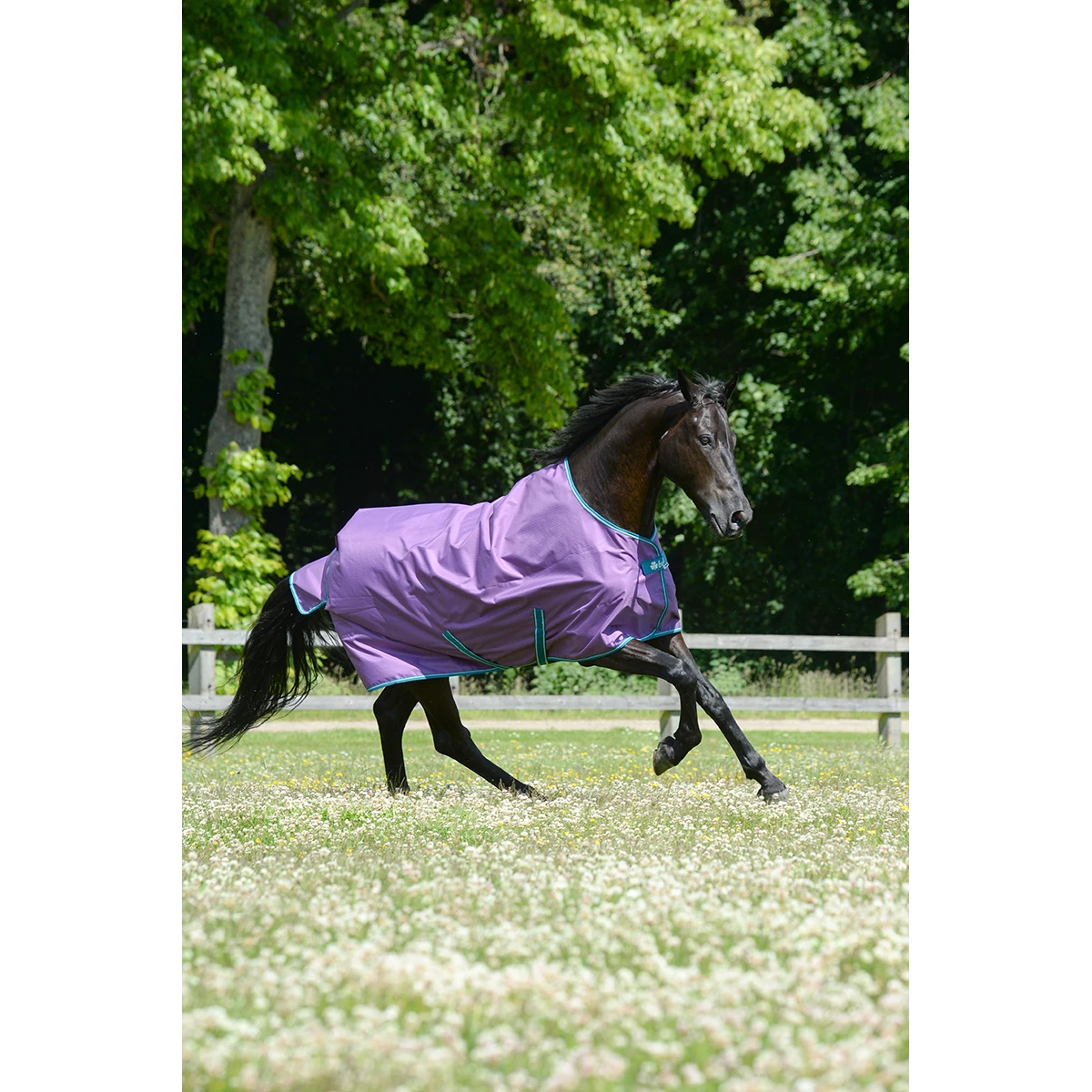 Deken Bucas Freedom Turnout Light 0gr Paars 4 Deken Bucas Freedom Turnout Light 0gr Paars - Afbeelding 2