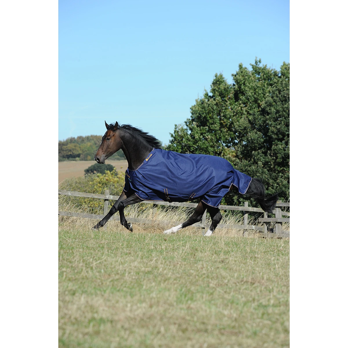 Deken Bucas Irish Turnout 150gr Donkerblauw-goud 4 Deken Bucas Irish Turnout 150gr Donkerblauw-goud - Afbeelding 2