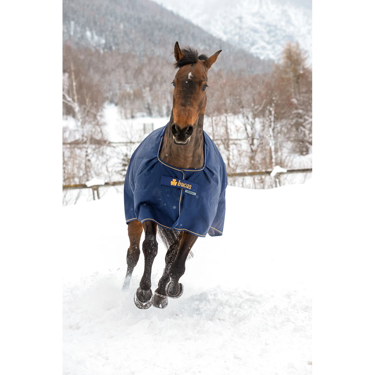 Deken Bucas Irish Turnout 150gr Donkerblauw-goud 5 Deken Bucas Irish Turnout 150gr Donkerblauw-goud - Afbeelding 3