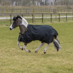 Deken Bucas Irish Turnout Light 50gr Pony Zwart-goud -Ruiter Hoek Verkoopwinkel deken bucas irish turnout light 50gr pony zwart goud 1500x1500 123656