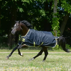 Deken Bucas Oasis Met Hals 100gr Donkergrijs -Ruiter Hoek Verkoopwinkel deken bucas oasis met hals 100gr donkergrijs 1500x1500 182564