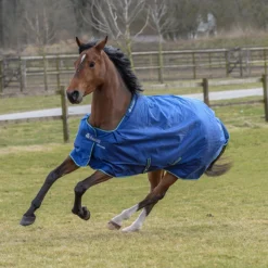 Deken Bucas Smartex Extra 300gr Blauw -Ruiter Hoek Verkoopwinkel deken bucas smartex extra 300gr blauw 1500x1500 112022