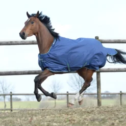 Deken Bucas Smartex Extra 300gr Blauw -Ruiter Hoek Verkoopwinkel deken bucas smartex extra 300gr blauw 1500x1500 112023