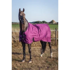 Deken Epplejeck EJRindal 200gr Donkerrood -Ruiter Hoek Verkoopwinkel deken epplejeck ejrindal 200gr donkerrood 1500x1500 165868