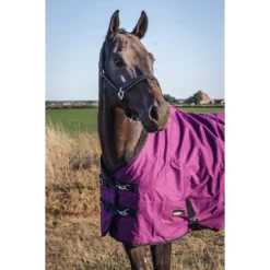 Deken Epplejeck EJRindal 200gr Donkerrood -Ruiter Hoek Verkoopwinkel deken epplejeck ejrindal 200gr donkerrood 1500x1500 165870