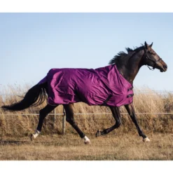 Deken Epplejeck Rindal 0gr Donkerrood -Ruiter Hoek Verkoopwinkel deken epplejeck rindal 0gr donkerrood 1500x1500 165938