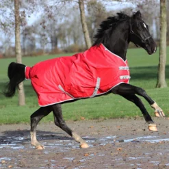 Deken Epplejeck Rindal 300gr Rood -Ruiter Hoek Verkoopwinkel deken epplejeck rindal 300gr rood 1500x1500 108684