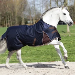 Deken Horsegear Aquero 0gr Donkerblauw-donkerbruin -Ruiter Hoek Verkoopwinkel deken horsegear aquero 0gr donkerblauw donkerbruin 1500x1500 117092