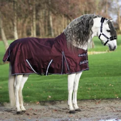 Deken Horsegear Extreme 300gr Paars -Ruiter Hoek Verkoopwinkel deken horsegear extreme 300gr paars 1500x1500 125811