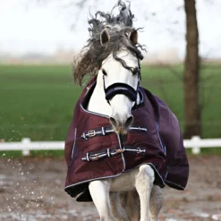 Deken Horsegear Extreme 300gr Paars -Ruiter Hoek Verkoopwinkel deken horsegear extreme 300gr paars 1500x1500 125814