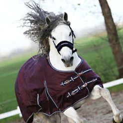 Deken Horsegear Extreme 300gr Paars -Ruiter Hoek Verkoopwinkel deken horsegear extreme 300gr paars 1500x1500 125815