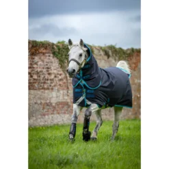 Deken Horseware Amigo Bravo Medium Pony 250gr Donkerblauw -Ruiter Hoek Verkoopwinkel deken horseware amigo bravo medium pony 250gr donkerblauw 1500x1500 133554