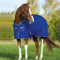 Deken Horseware Amigo Hero 900 200gr Middenblauw 6 Deken Horseware Amigo Hero 900 200gr Middenblauw -Ruiter Hoek Verkoopwinkel deken horseware amigo hero 900 200gr middenblauw 1500x1500 117906