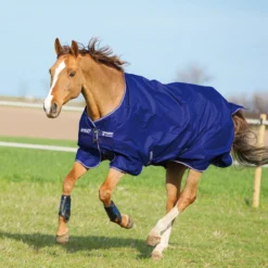 Deken Horseware Amigo Hero 900 200gr Middenblauw 7 Deken Horseware Amigo Hero 900 200gr Middenblauw -Ruiter Hoek Verkoopwinkel deken horseware amigo hero 900 200gr middenblauw 1500x1500 117907