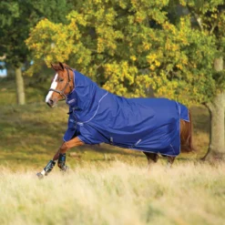 Deken Horseware Amigo Hero 900 Plus 200gr Middenblauw -Ruiter Hoek Verkoopwinkel deken horseware amigo hero 900 plus 200gr middenblauw 1500x1500 117874