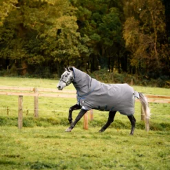 Deken Horseware Rhino Plus Hexstop Vari-Layer 250gr Grijs 19 Deken Horseware Rhino Plus Hexstop Vari-Layer 250gr Grijs -Ruiter Hoek Verkoopwinkel deken horseware rhino plus hexstop vari layer 250gr grijs 1500x1500 168624