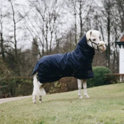 Deken Kentucky All Weather Pro Tiny 0gr Donkerblauw -Ruiter Hoek Verkoopwinkel deken kentucky all weather pro tiny 0gr donkerblauw 1500x1500 146866