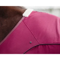 Deken QHP Coolmesh Astana Donkerrood -Ruiter Hoek Verkoopwinkel deken qhp coolmesh astana donkerrood 1500x1500 159264