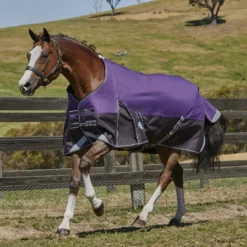 Deken WeatherBeeta ComFiTec Plus Dynamic 100gr Paars-zwart -Ruiter Hoek Verkoopwinkel deken weatherbeeta comfitec plus dynamic 100gr paars zwart 1500x1500 137234