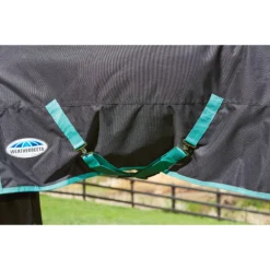 Deken WeatherBeeta Green-Tec 900D 360gr Zwart-groen -Ruiter Hoek Verkoopwinkel deken weatherbeeta green tec 900d 360gr zwart groen 1500x1500 135090