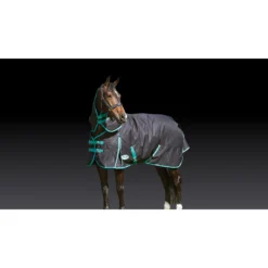 Deken WeatherBeeta Green-Tec 900D 360gr Zwart-groen -Ruiter Hoek Verkoopwinkel deken weatherbeeta green tec 900d 360gr zwart groen 1500x1500 135093