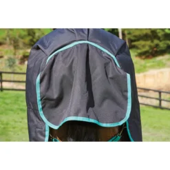 Deken WeatherBeeta Green-Tec 900D Lite Plus 50gr Zwart-groen -Ruiter Hoek Verkoopwinkel deken weatherbeeta green tec 900d lite plus 50gr zwart groen 1500x1500 132985