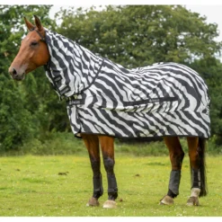 Eczeemdeken Bucas Sweet Itch Zebra Zebra -Ruiter Hoek Verkoopwinkel eczeemdeken bucas sweet itch zebra zebra 1500x1500 112760