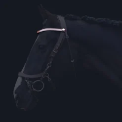 Frontriem PresTeq FaySport Bruin -Ruiter Hoek Verkoopwinkel frontriem presteq faysport bruin 1500x1500 130582