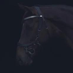 Frontriem PresTeq FaySport Zwart -Ruiter Hoek Verkoopwinkel frontriem presteq faysport zwart 1500x1500 130578