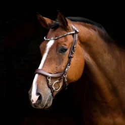 Frontriem PresTeq ShineBright Bruin-groen -Ruiter Hoek Verkoopwinkel frontriem presteq shinebright bruin groen 1500x1500 150992