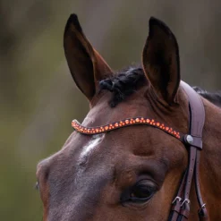 Frontriem QHP Eldorado Bruin-oranje -Ruiter Hoek Verkoopwinkel frontriem qhp eldorado bruin oranje 1500x1500 130626