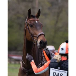 Frontriem QHP Eldorado Bruin-oranje -Ruiter Hoek Verkoopwinkel frontriem qhp eldorado bruin oranje 1500x1500 130629