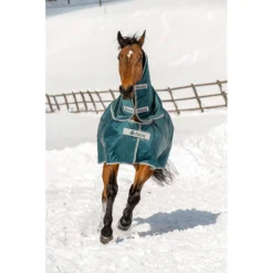 Halsstuk Bucas Atlantic Turnout Combi 300gr Groen -Ruiter Hoek Verkoopwinkel halsstuk bucas atlantic turnout combi 300gr groen 1500x1500 133197