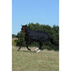 Halsstuk Bucas Irish Turnout Combi 300gr Zwart-goud -Ruiter Hoek Verkoopwinkel halsstuk bucas irish turnout combi 300gr zwart goud 1500x1500 133318