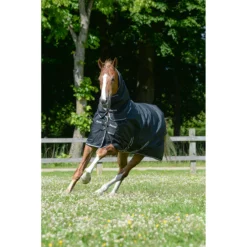 Halsstuk Bucas Trotting Combi Neck Zwart-wit -Ruiter Hoek Verkoopwinkel halsstuk bucas trotting combi neck zwart wit 1500x1500 157968